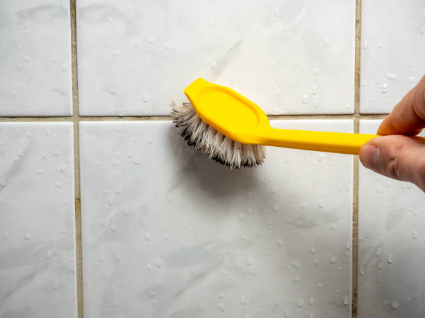 Best Black Mold Removal  in Rden City, GA