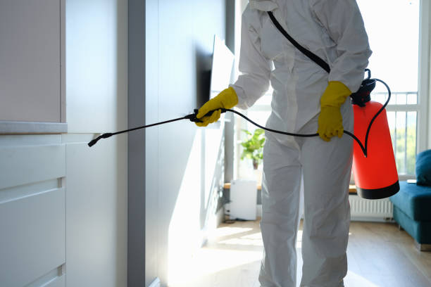 Best Mold Testing  in Rden City, GA