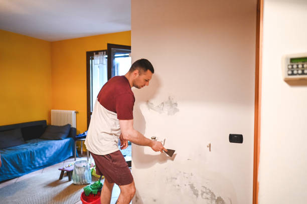 Best Mold Removal Company Near Me  in Rden City, GA