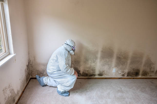 Best Mold Remediation  in Rden City, GA