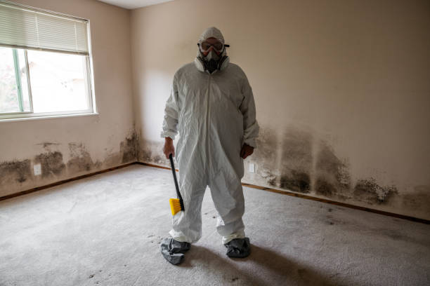 Best Mold Remediation Experts  in Rden City, GA